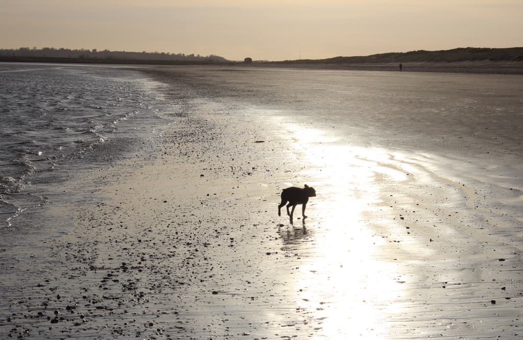 Camber Sands beach