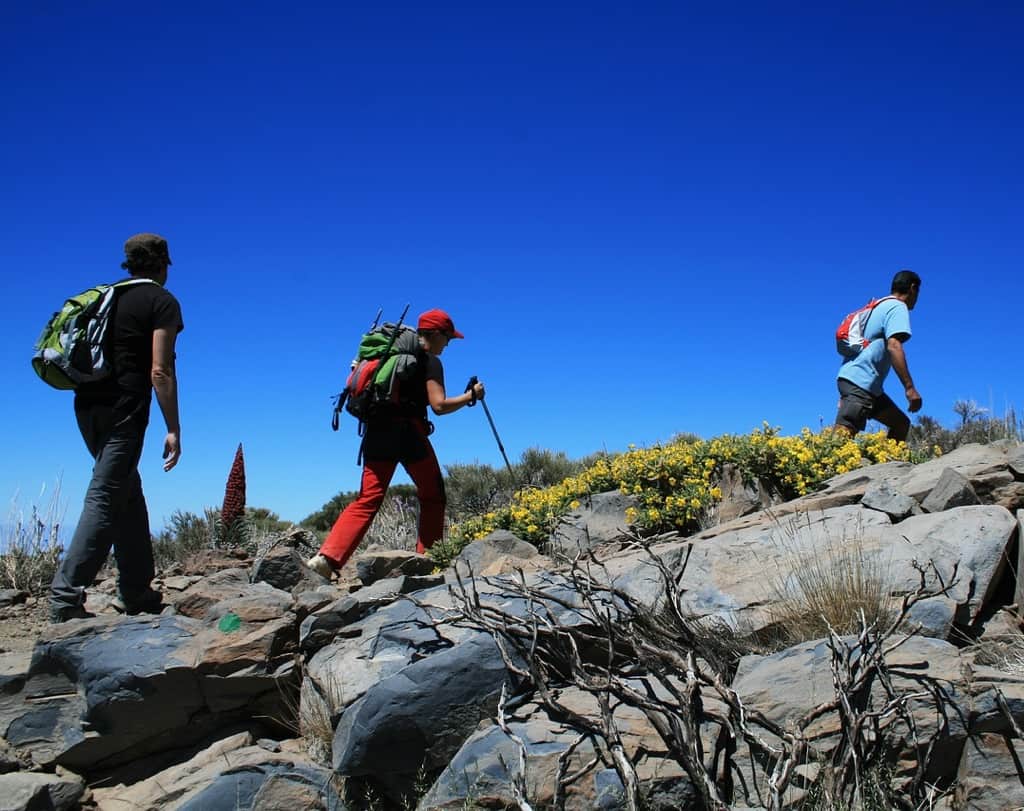 Hikers on Mount Teide