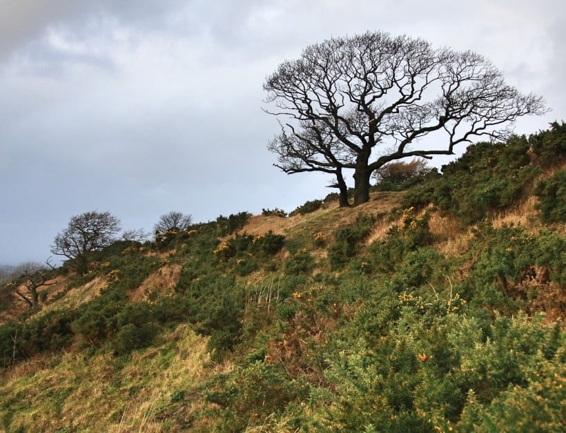 Walking on the North York Moors